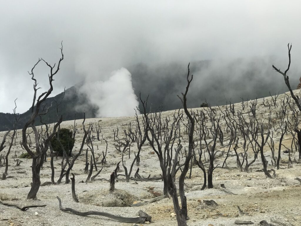 saharagems papandayan volcano sulfur java indonesia 19